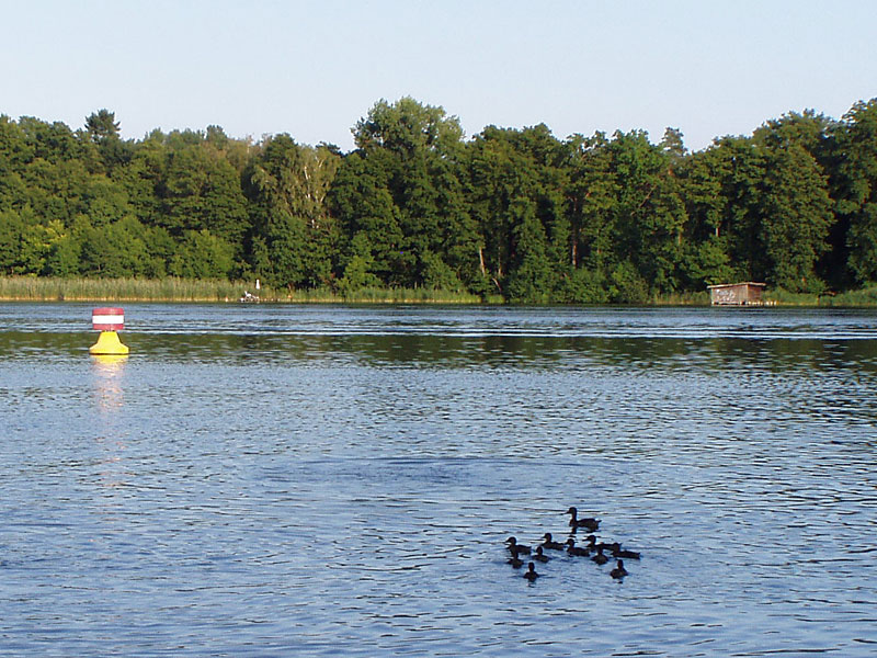 Langer See bei Dolgenbrodt