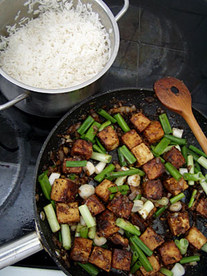 scharfer Tofu mit Frühlingszwiebeln