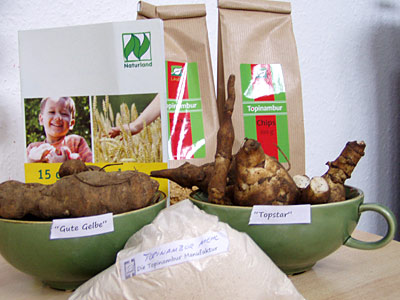 Topinambur-Produkte